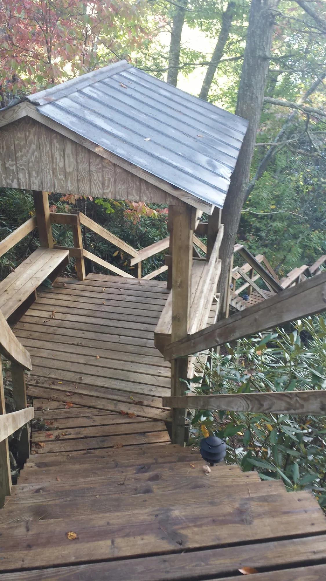 Metal roofed shelter over wooden steps on a wooded walkway — Skylight Repair & Installation work by our crew in Mc Kenzie